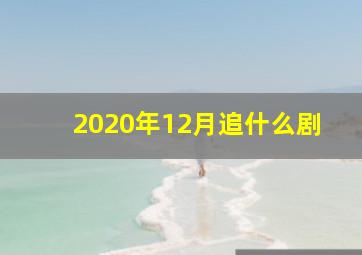 2020年12月追什么剧