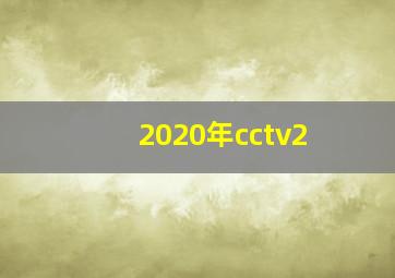 2020年cctv2