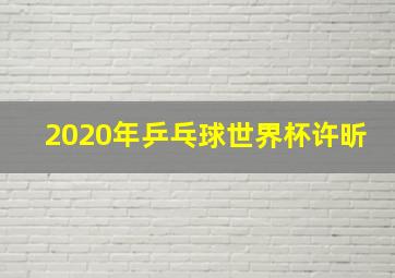 2020年乒乓球世界杯许昕