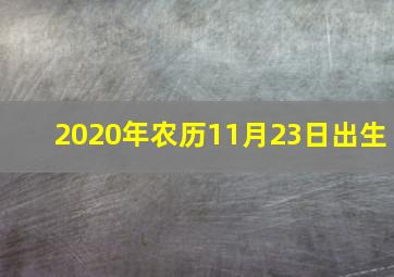 2020年农历11月23日出生