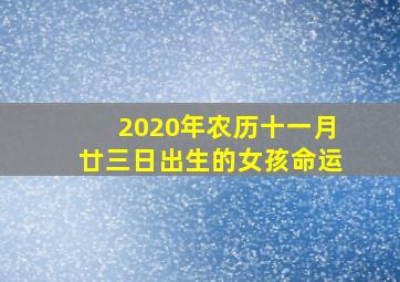 2020年农历十一月廿三日出生的女孩命运