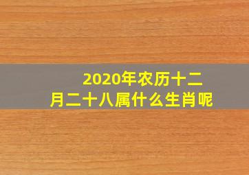 2020年农历十二月二十八属什么生肖呢