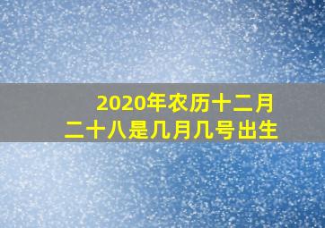 2020年农历十二月二十八是几月几号出生