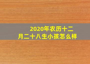 2020年农历十二月二十八生小孩怎么样