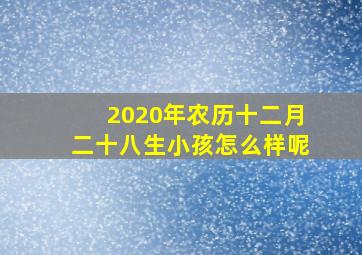 2020年农历十二月二十八生小孩怎么样呢