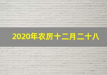 2020年农厉十二月二十八