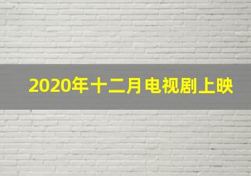 2020年十二月电视剧上映