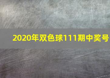 2020年双色球111期中奖号