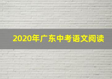 2020年广东中考语文阅读