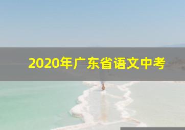 2020年广东省语文中考