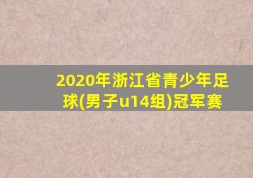 2020年浙江省青少年足球(男子u14组)冠军赛