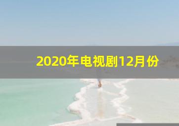 2020年电视剧12月份