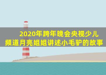 2020年跨年晚会央视少儿频道月亮姐姐讲述小毛驴的故事