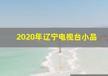 2020年辽宁电视台小品