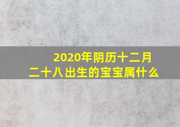 2020年阴历十二月二十八出生的宝宝属什么