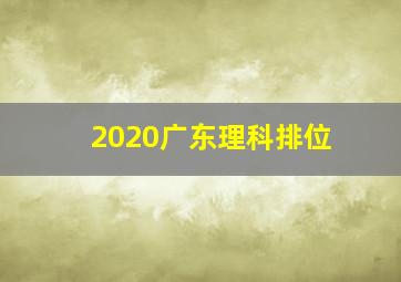 2020广东理科排位