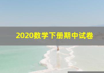 2020数学下册期中试卷