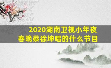 2020湖南卫视小年夜春晚蔡徐坤唱的什么节目