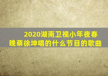 2020湖南卫视小年夜春晚蔡徐坤唱的什么节目的歌曲