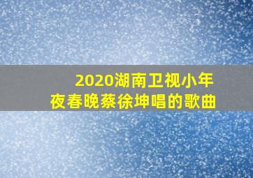 2020湖南卫视小年夜春晚蔡徐坤唱的歌曲