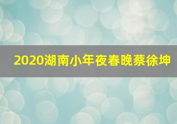 2020湖南小年夜春晚蔡徐坤