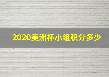 2020美洲杯小组积分多少