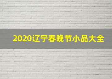 2020辽宁春晚节小品大全