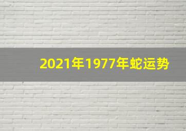 2021年1977年蛇运势