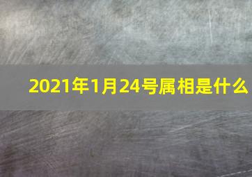 2021年1月24号属相是什么