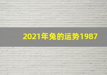 2021年兔的运势1987