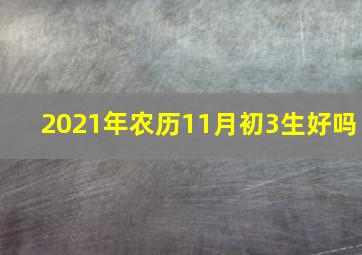 2021年农历11月初3生好吗