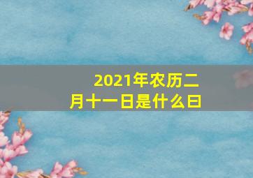 2021年农历二月十一日是什么曰