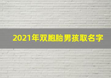 2021年双胞胎男孩取名字