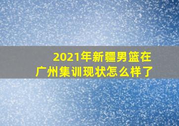 2021年新疆男篮在广州集训现状怎么样了