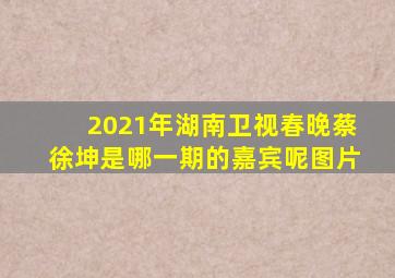 2021年湖南卫视春晚蔡徐坤是哪一期的嘉宾呢图片