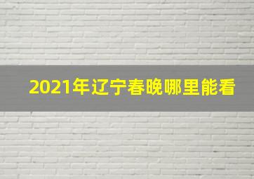 2021年辽宁春晚哪里能看