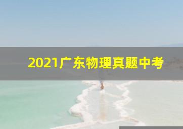 2021广东物理真题中考