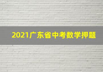 2021广东省中考数学押题