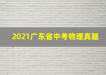 2021广东省中考物理真题