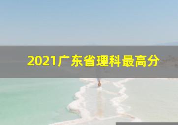 2021广东省理科最高分