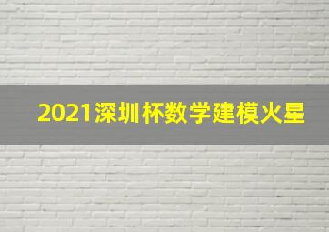 2021深圳杯数学建模火星