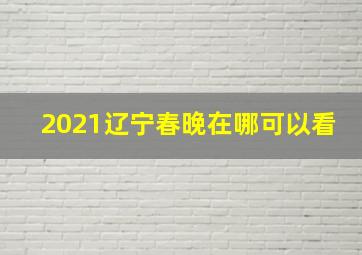 2021辽宁春晚在哪可以看