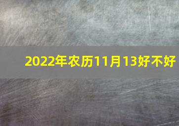 2022年农历11月13好不好