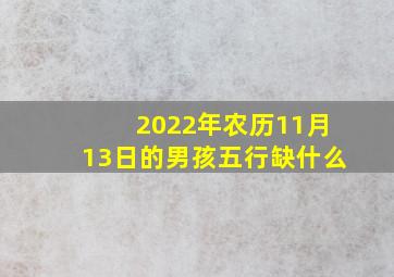 2022年农历11月13日的男孩五行缺什么