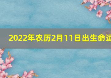 2022年农历2月11日出生命运