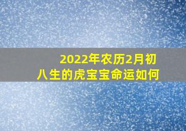 2022年农历2月初八生的虎宝宝命运如何