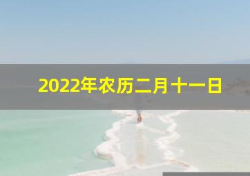 2022年农历二月十一日