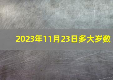 2023年11月23日多大岁数