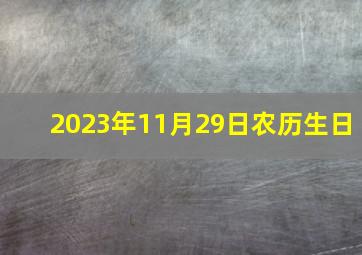 2023年11月29日农历生日