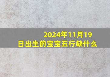 2024年11月19日出生的宝宝五行缺什么